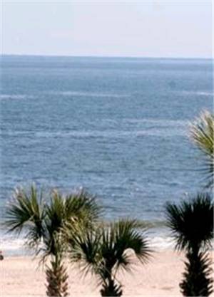 Ocean Song At Beachside Colony Apartment Pulau Tybee Luaran gambar